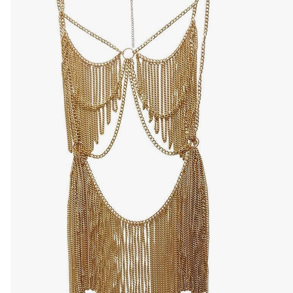 Gold Chain Fringe Dress - Picture 3 of 4